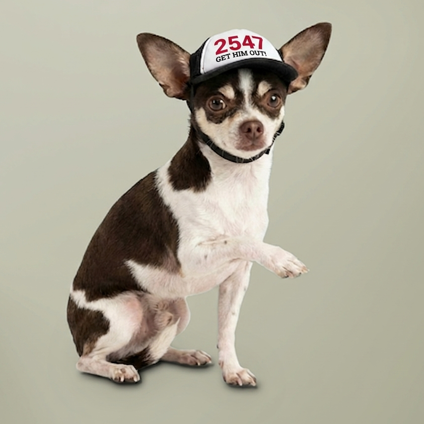 Funny Dog Hat — 2547 Get Him Out