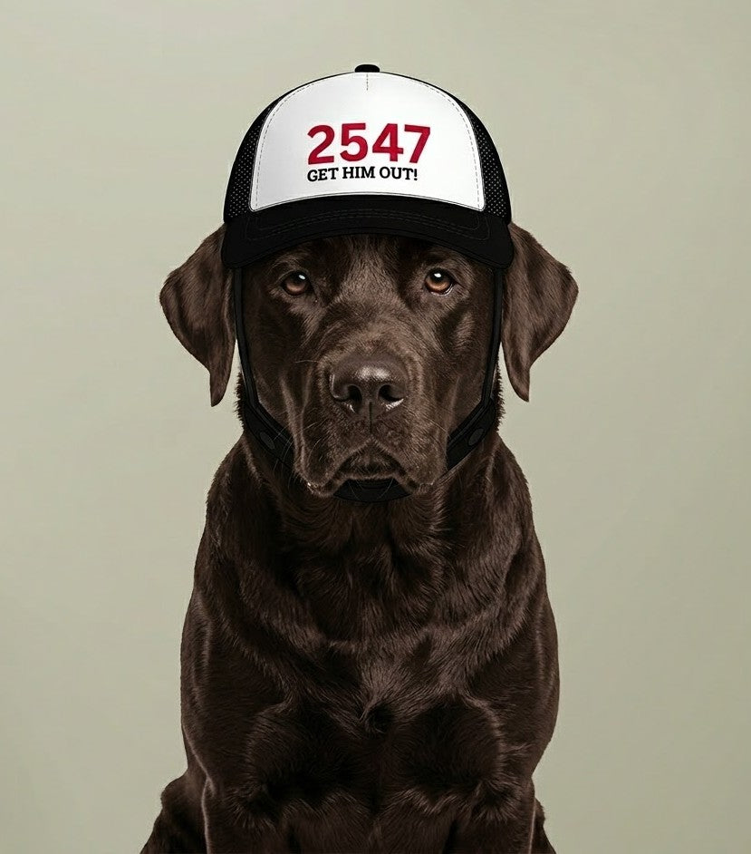 Funny Dog Hat — 2547 Get Him Out