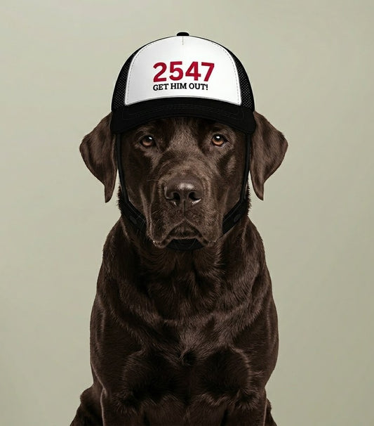 Funny Dog Hat — 2547 Get Him Out