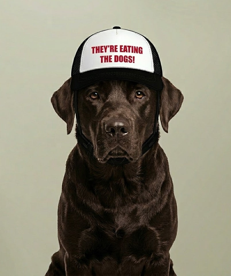 Funny Dog Hat - They’re Eating the Dogs!