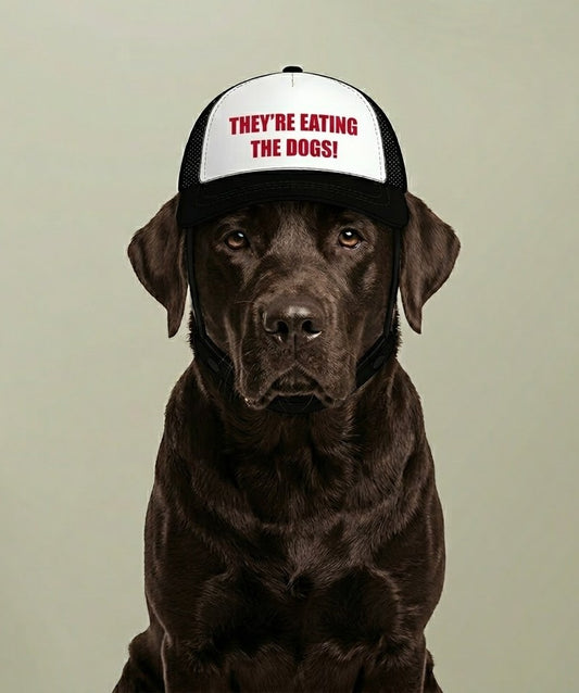 Funny Dog Hat - They’re Eating the Dogs!