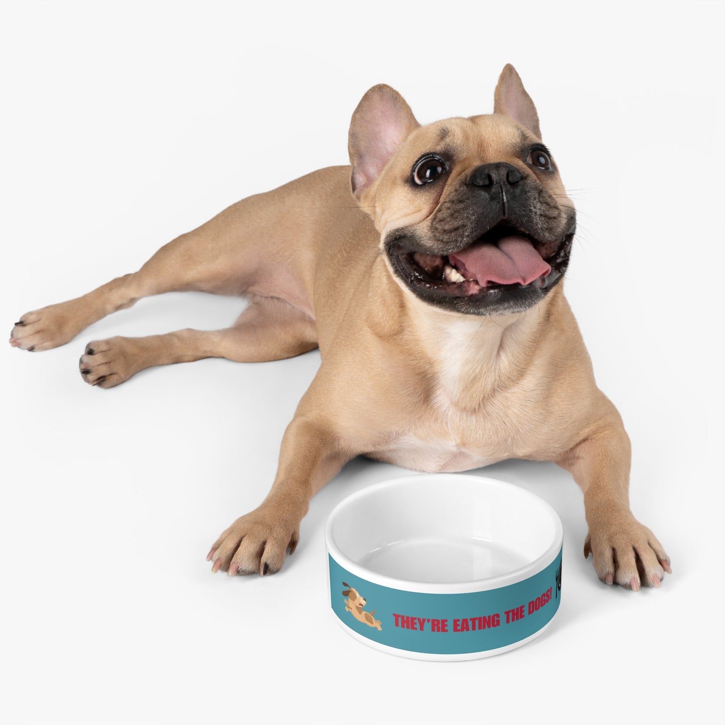 Funny Dog Feeding Bowl — 'They're Eating the Dogs!'
